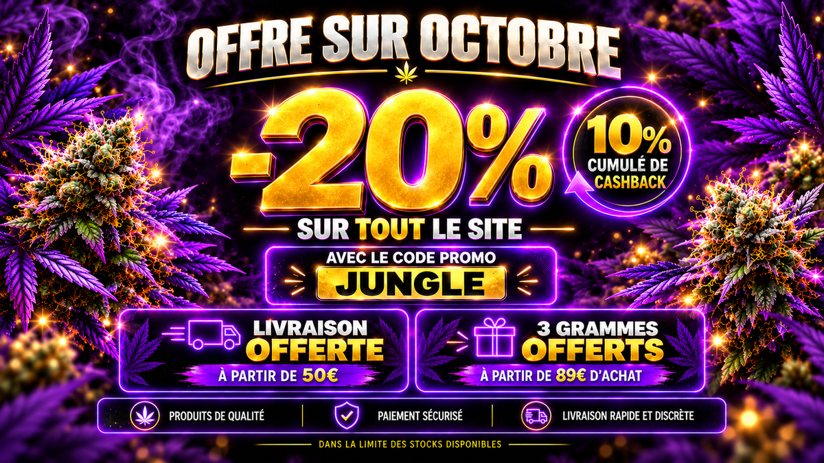 Bannière