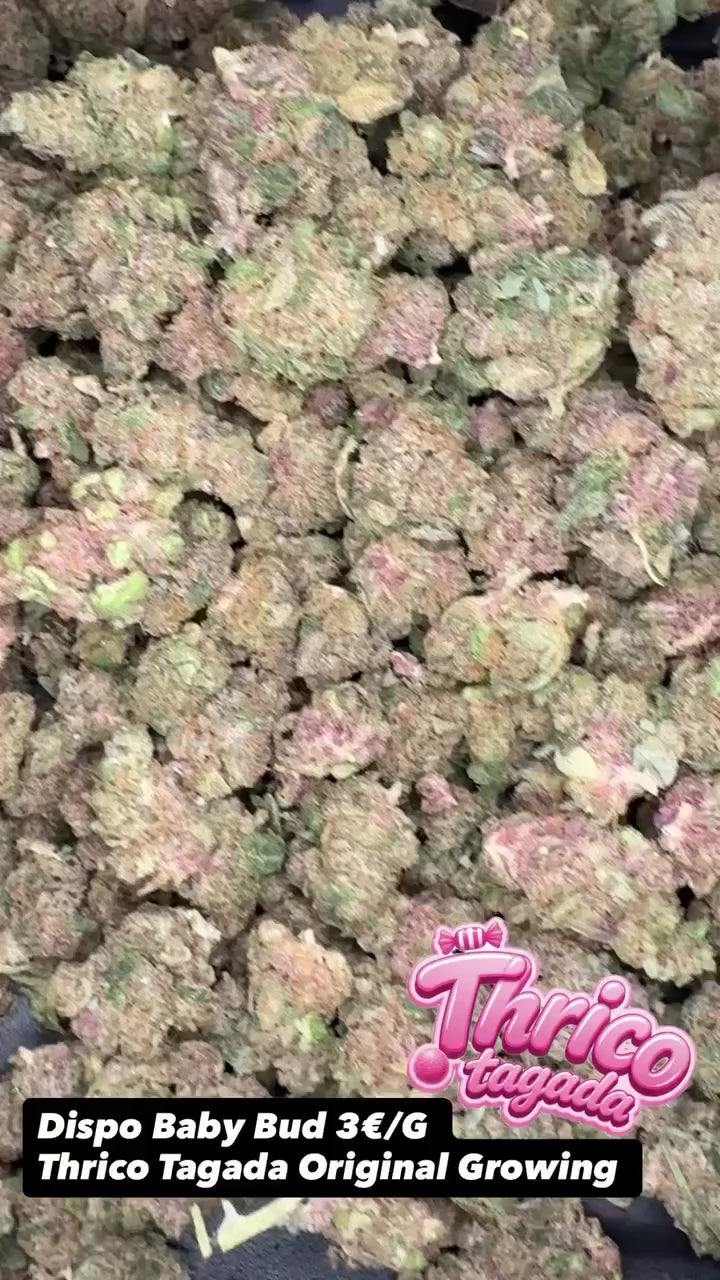 Vidéo